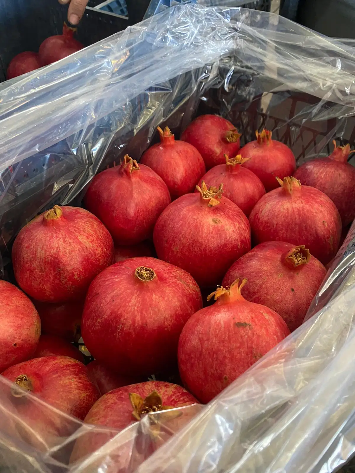 Dark Red Colour %100 Organic Fresh Turkish Number 1 Quality  Juicy Sweet Fresh Red Pomegranade Best Quality In Turkey