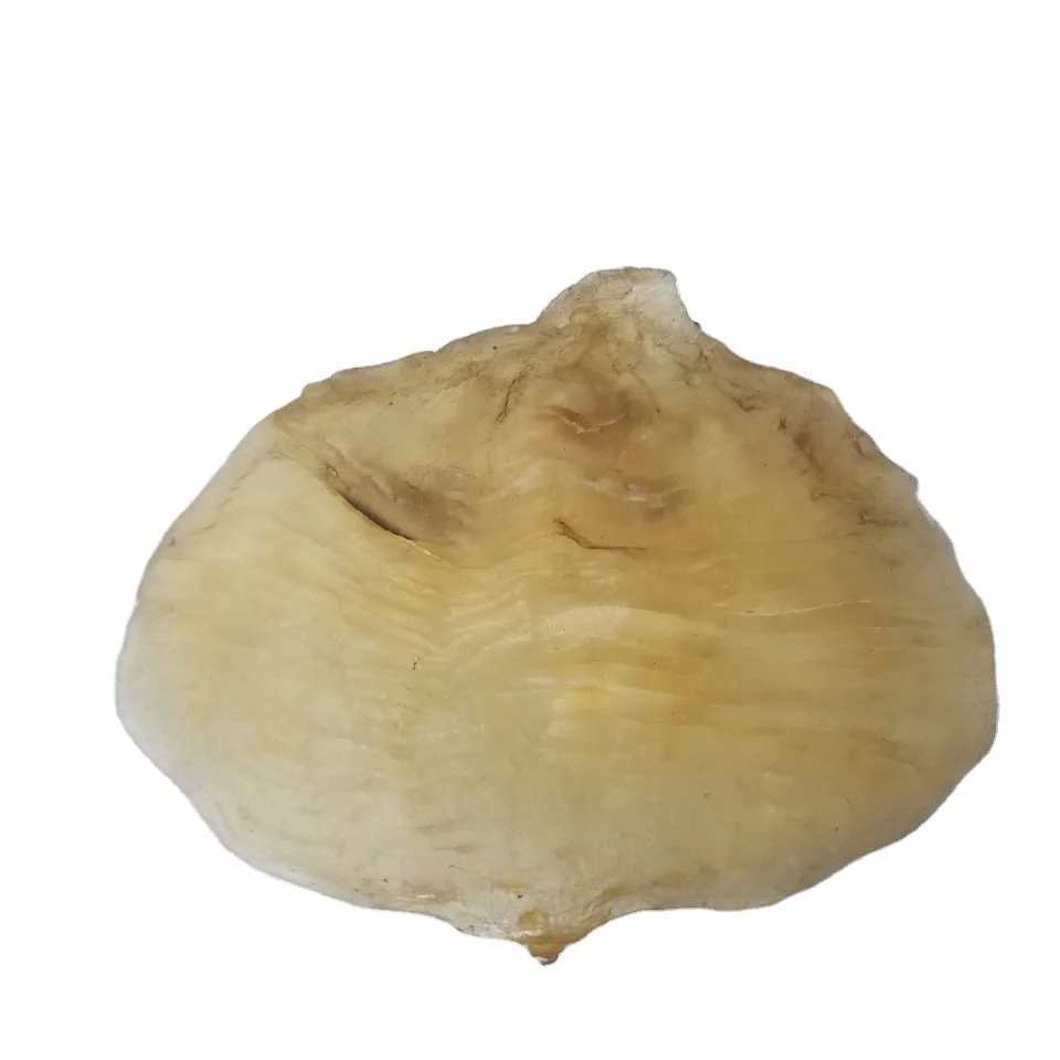 100% натуральный сушеный на солнце высококачественный клей для морской рыбы