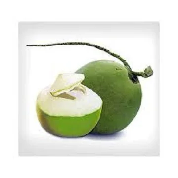 Fresh Young Coconuts Special Product With High Quality