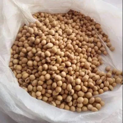 Best Quality Natural and Non- GMO Yellow Soybean Seeds / Soybean / Soya beans High Quality  Brazilian Origin Soybeans