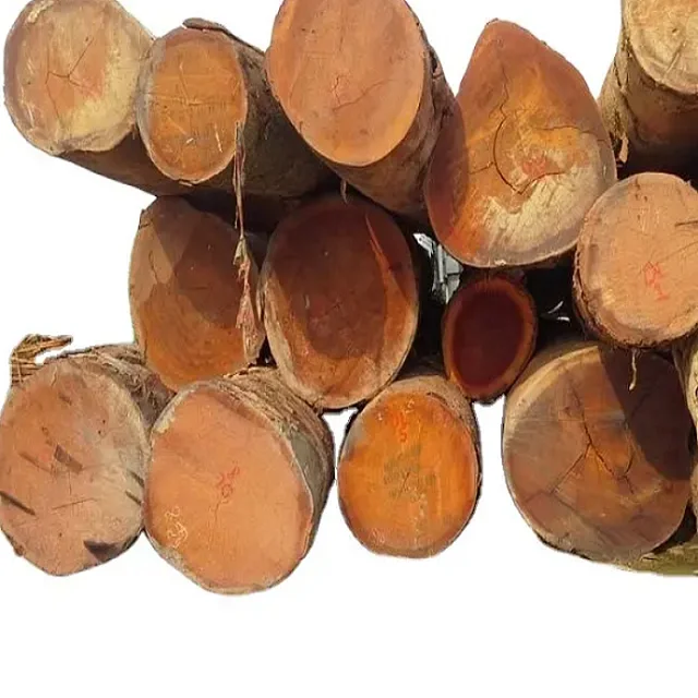 PINE,SPRUCE, BIRCH, OAK, ASH , AFRICAN HARDWOOD LOGS FOR SALE