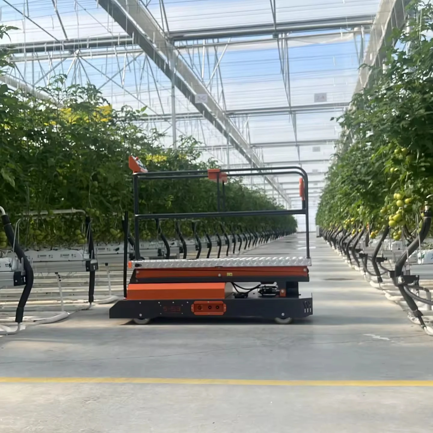 Тележка для культивирования производства индейки с батарейным питанием гидравлическая поршневая тележка сельскохозяйственных культур