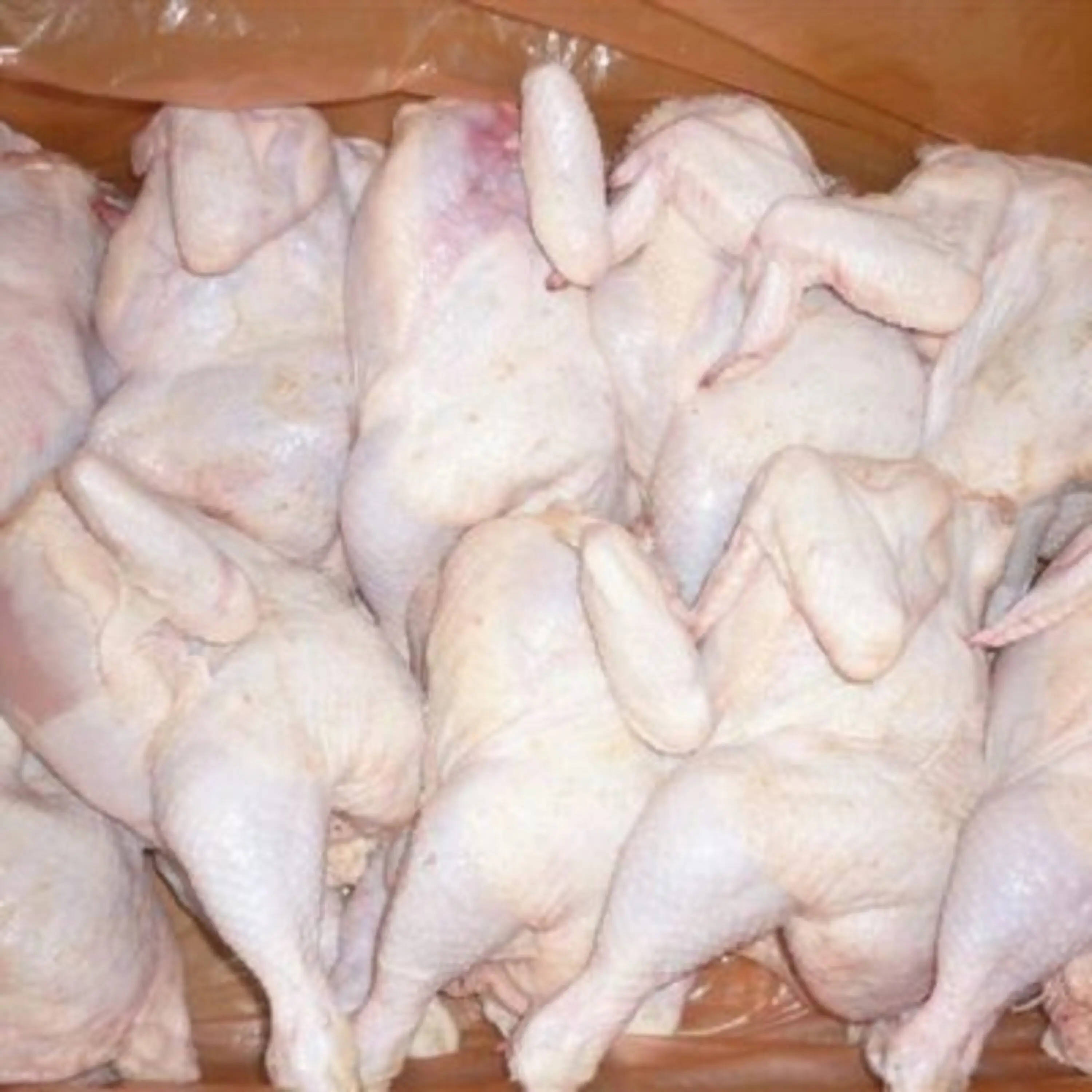 BUY BULK HALAL FROZEN WHOLE CHICKEN