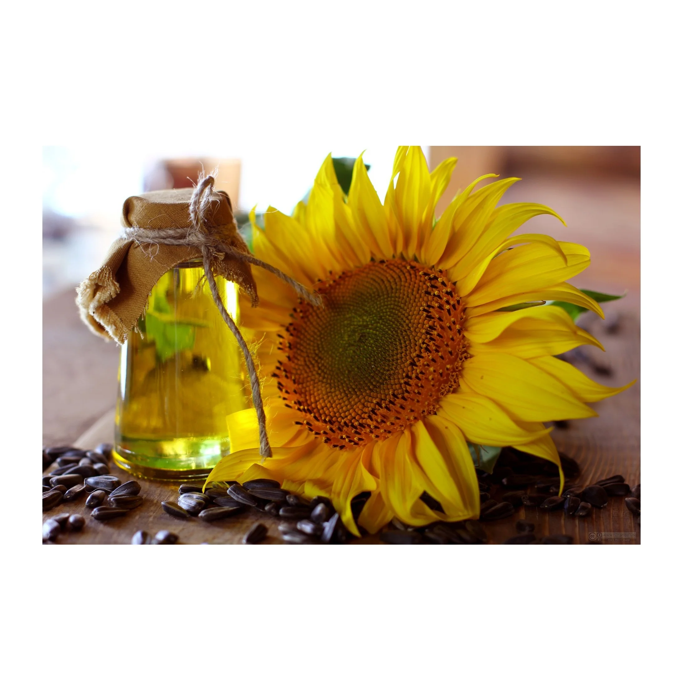 High Quality Original Sunflower Seed Oil / Refined Sunflower Food Grade high oleic sunflower oil For Sale At Low Cost