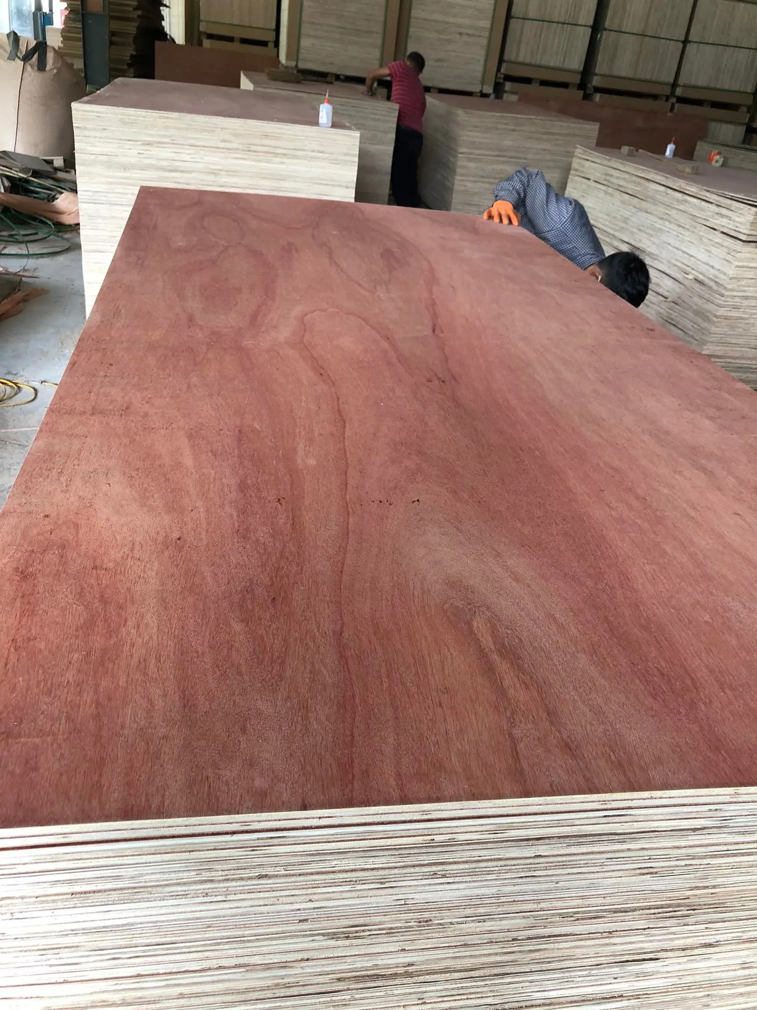 Plywood Sheet Plyboard Plywood Furniture Glue High Quality Ply Wood Made in Vietnam MR Waterproof Sale Style Industrial Surface