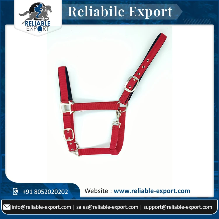 New Arrival Horse PP Halter High Quality Adjustable and Durable Fancy Padded Leather Nylon and PVC Best Price Western Style
