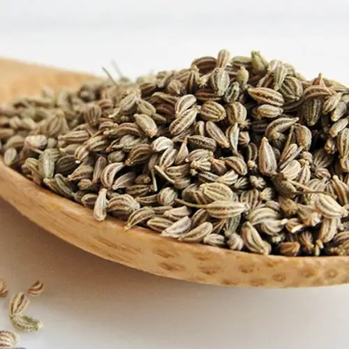 Best Selling Spices Ajwain  Bulk Export at Wholesale Price THE ELITE HERBALS