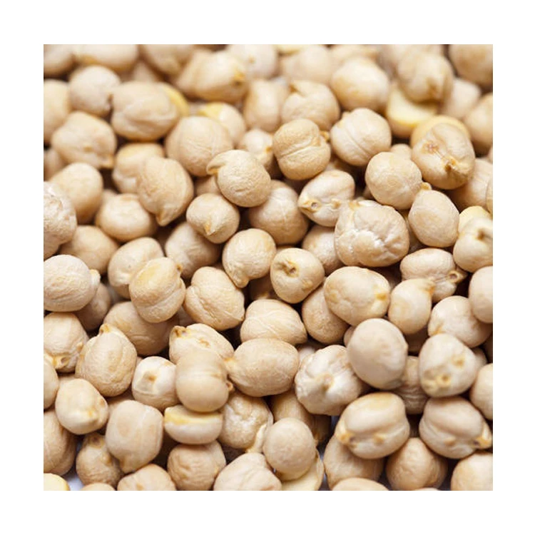 Top Supplier 100% Natural Yellow Color High in Nutritious Dried Chickpeas Kabuli Chana at Best Competitive Price