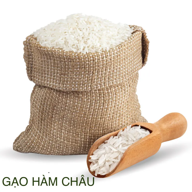 Standard Crop Style Time Packing Customize Export Hard Shelf Type rice mill Vietnamese Ham Chau White Rice from Vietnam