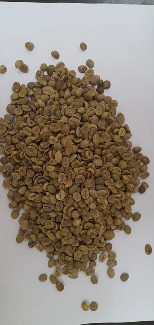 Color Weight Variety Shelf Origin Type Life Coffee Beans Green Coffee Beans Arabica Semi Washed S16  HUNG TAM VN from Vietnam