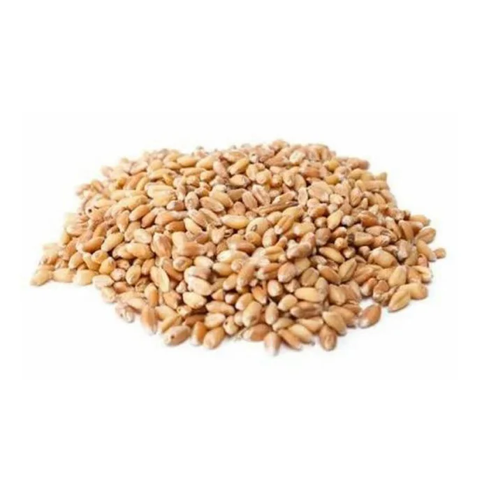 PREMIUM QUALITY Whole-grain Wheat Cereal Wheat Grain for Human Consumption