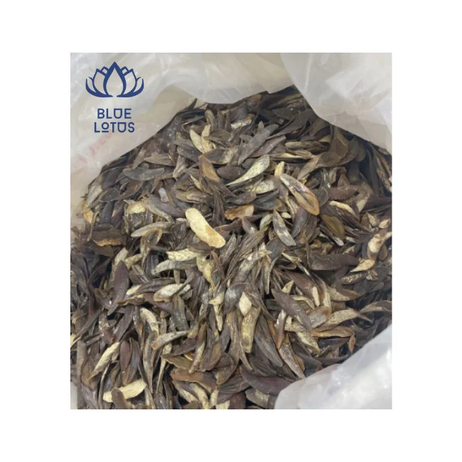 Экстракт духов Blue Lotus Vietnam Murex Operculum горячая Распродажа 2024 высокое качество