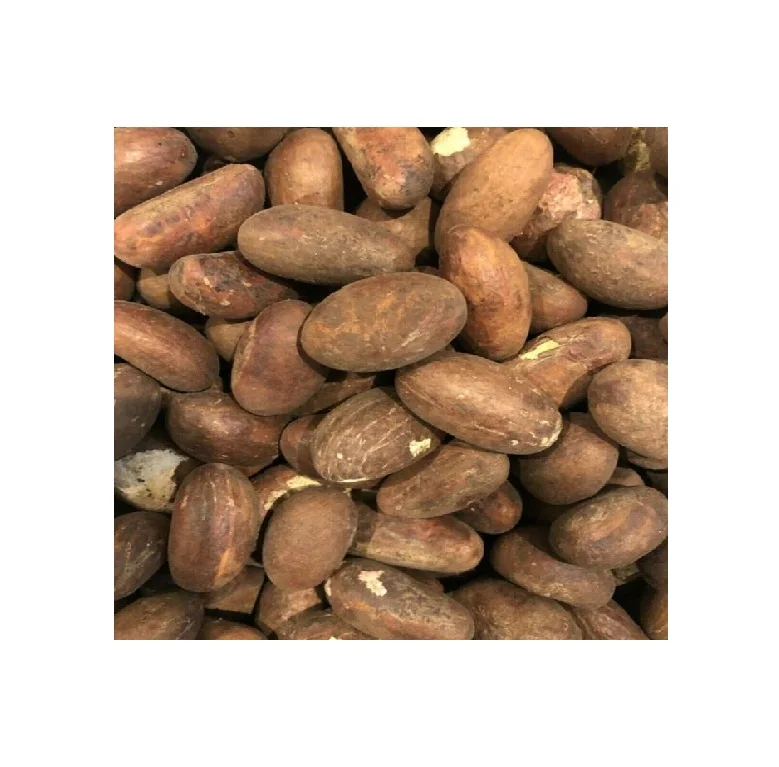 kolanut) Bitter kola,garcinia kola-bitter kola,kola nut bitter/African Bitter kola