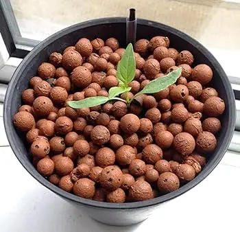 15 Kg Planting Soilless culture nutrient pure clay Leca ball Hydro Expanded Clay balls ceramsite for plant Decor and agriculture