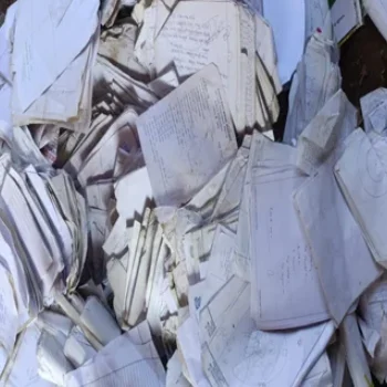 Sorted Office Papers