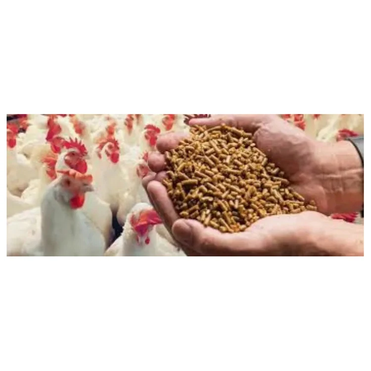 Buy Animal Feed Replace Fish Meal And Soybean Meal Corn Protein Gluten Feed Meal Hot Selling Agricultural Product_Bulk Glut