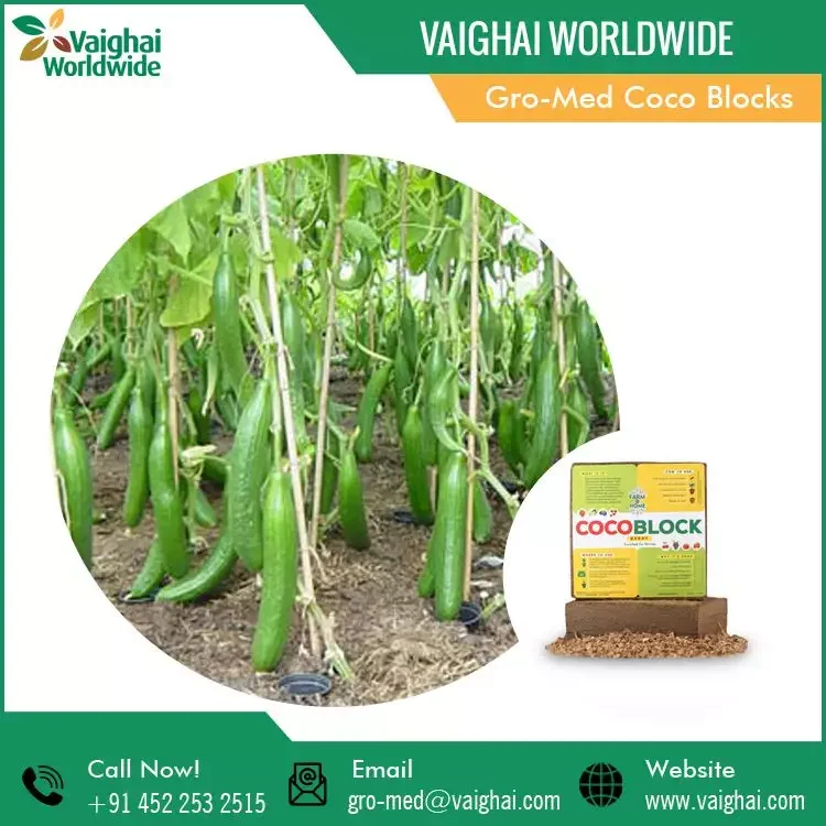 100% Natural Coconut Coir Fiber Pith Coco Peat Block Hot Selling Garden Pots & Planters for Bulk Buyers