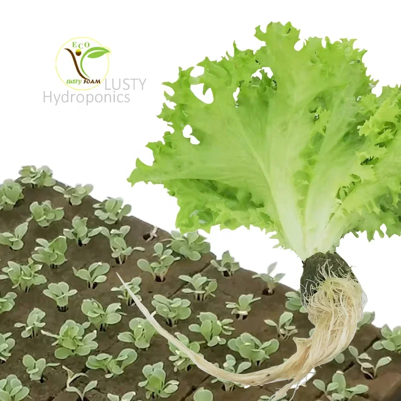 Хит продаж, разлагаемое и эффективное средство для выращивания растений в теплицах и садоводстве