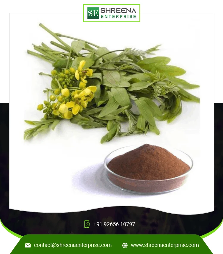 Senna Dry Extract Powder Wholesale Price Senna Dry Extract Indian Factory Price Senna Leaf Extract