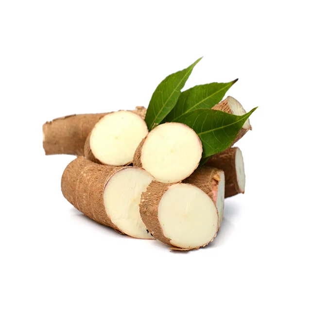 Hot Selling 2023 Wholesale Frozen Cassava Root Tapioca Chunks Made in Vietnam Competitive Price