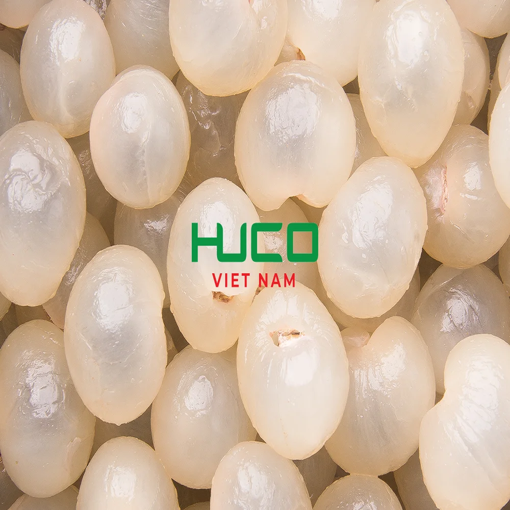 VIETNAM LONGAN FRUIT ON SALES - Fresh Longan at low price