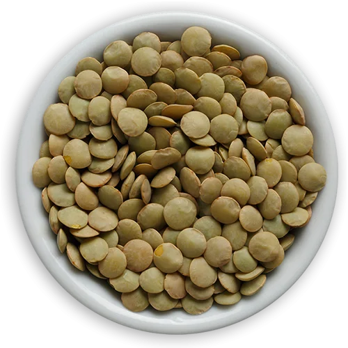 High quality Green Lentils ecological product of Russia wholesale prices lentils for sale in bulk
