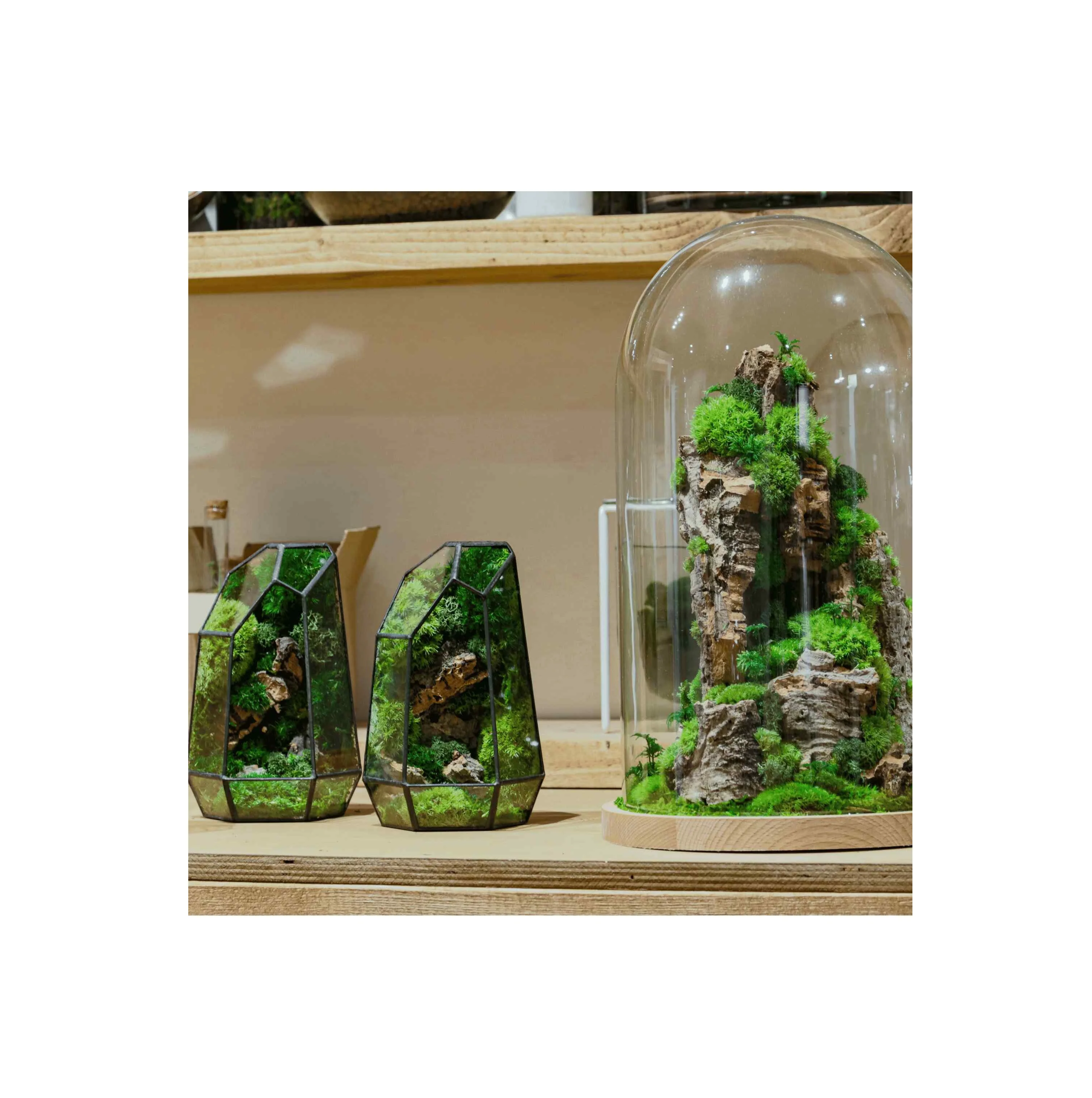 Luxury Style Plant Holder Terrarium White Box Cylinder Transparent American Style Clear Glass Ball Bottle Jar Terrarium with Led