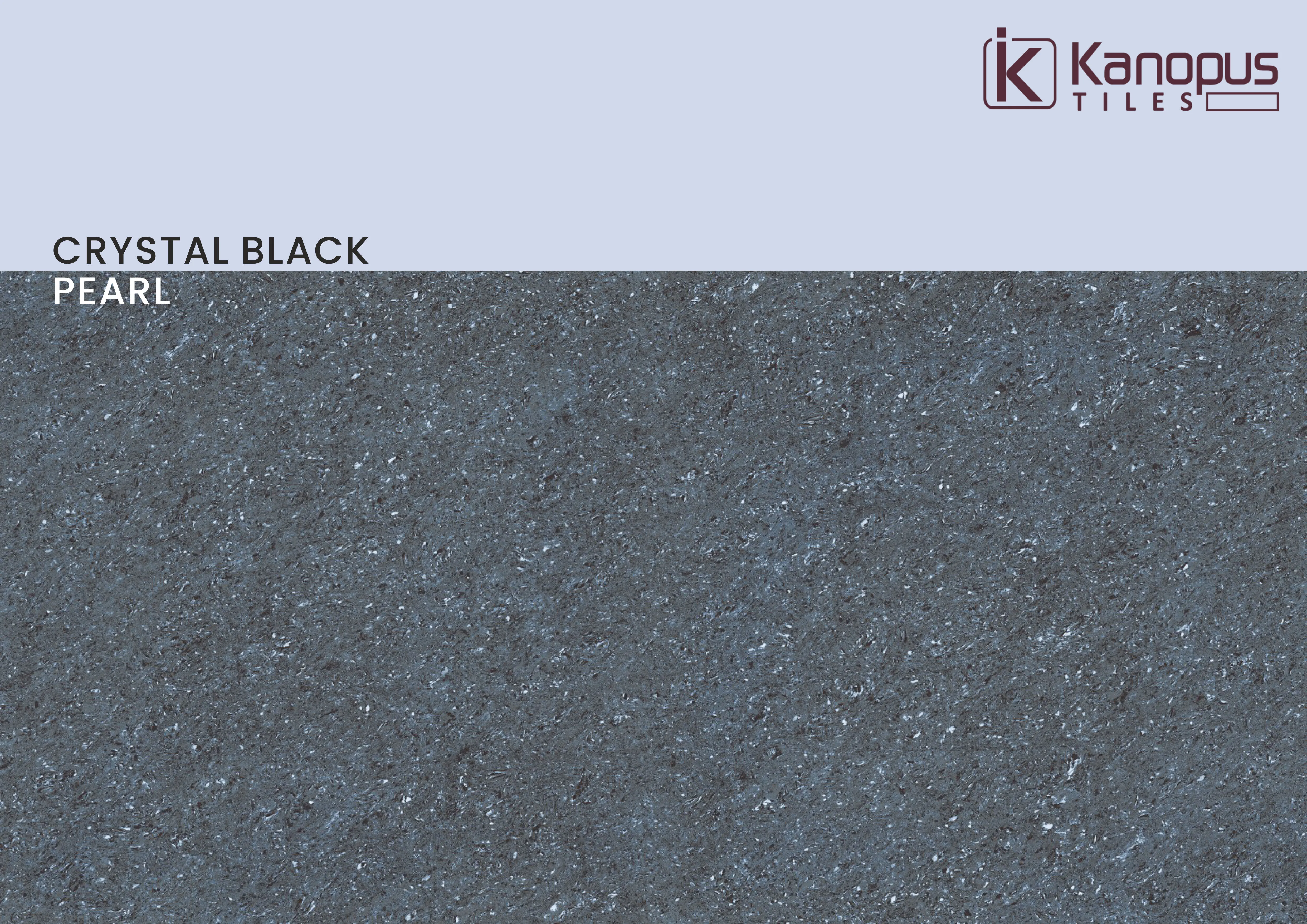 DIRECT FACTORY PRODUCT TRENDING HOT PRODUCTS PORCELAIN TILE FOR KITCHEN AND BATHROOM FROM MORBI INDIA