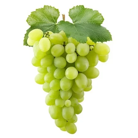 High quality Australian green grapes made in Vietnam 100% natural, no chemicals