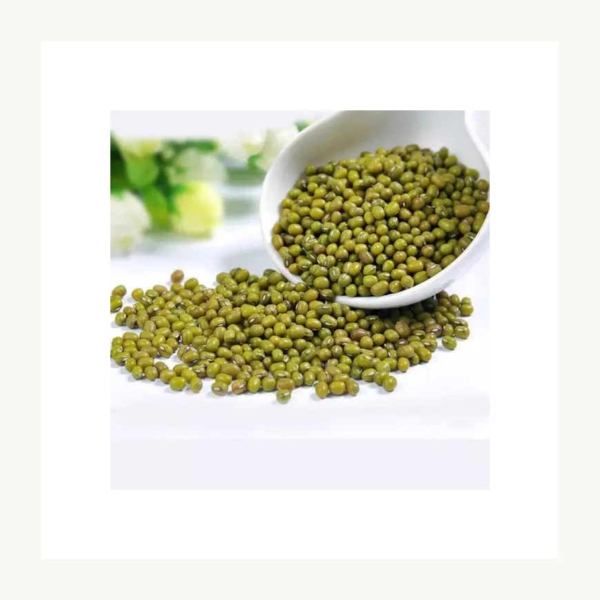 Best choice and best discounts Green Bean Machine Cleaned Premium Grade Green Mung Beans Exporter