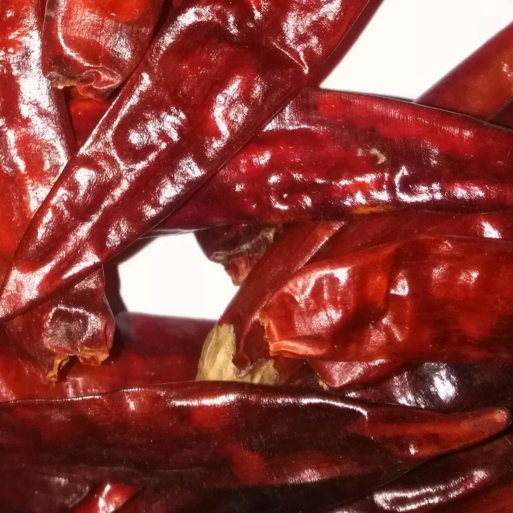 Высококачественный перец чили Sannam S4 со стеблем