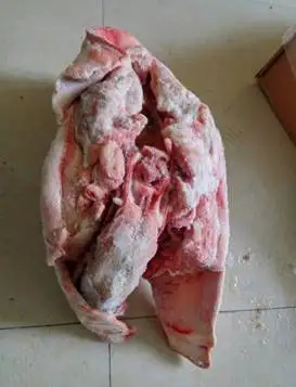 FROZEN PORK MEAT / PIG HEAD / BELLY / FEET / RIB / BRAZIL ORIGIN