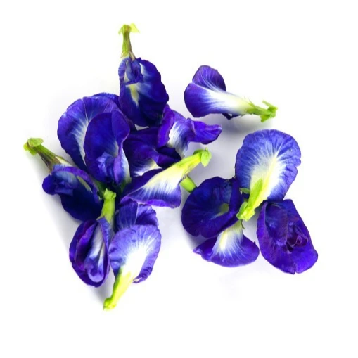 Premium butterfly pea tea and tea bag from natural pesticide free no preservative  High Quality from Thailand