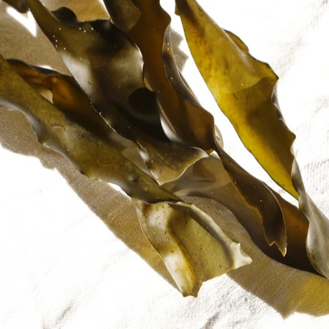 Премиум сушеные водоросли комбу-умами-богатый усилитель вкуса