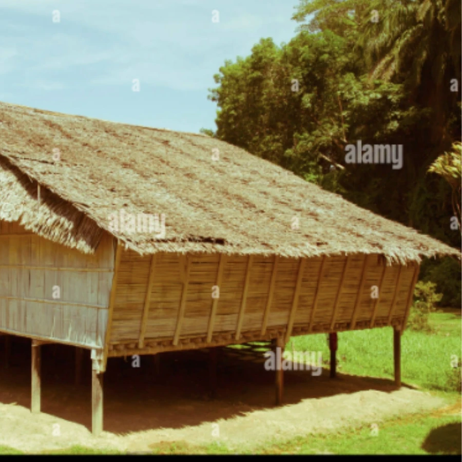 Wholesale Bamboo Plants From Vietnam, Natural Products