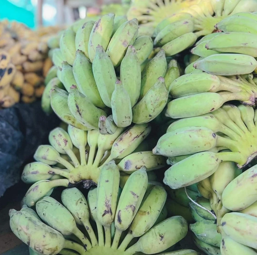 Sweet Banana Candy Chewy Taffy Laffy Thai Snack High Quality For Export The Original Snack From Thailand