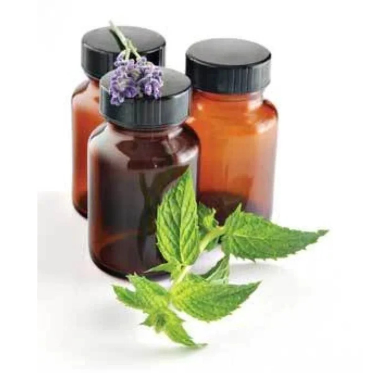 100% Natural Organic Monarda (Bee Balm) Essential Oil