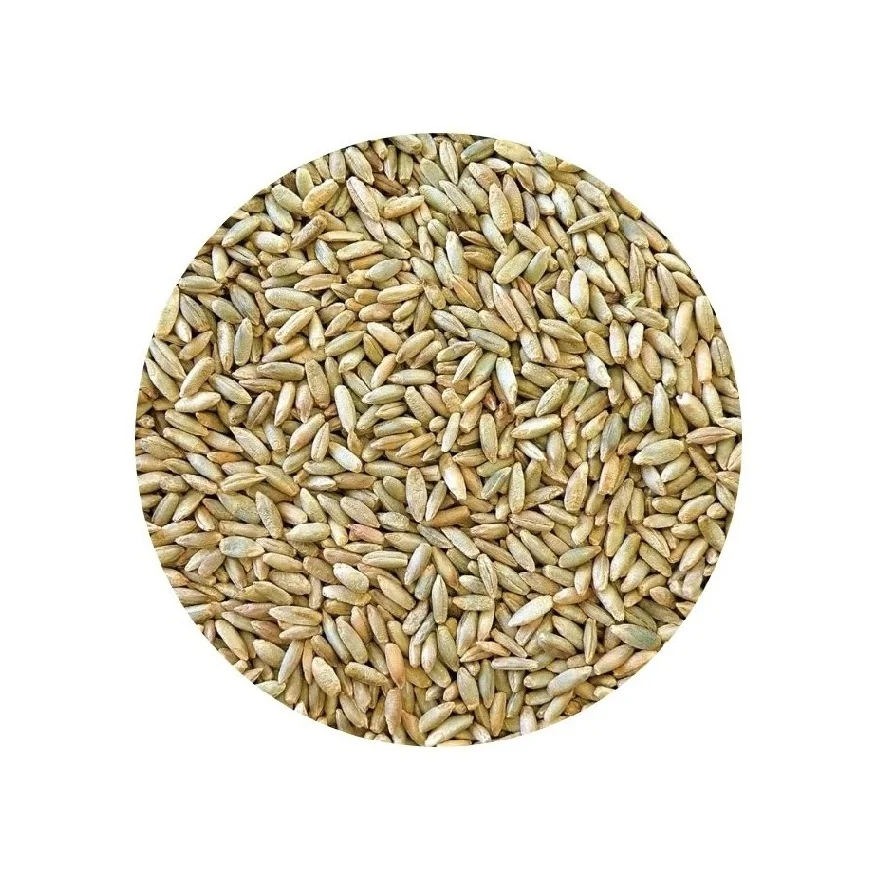 Hot Selling Price Of Organic Rye Grains In Bulk Quantity