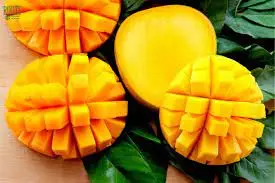 Wholesale Price Fresh Mango Fruit Good Choice Tropical Fruit From Vietnam