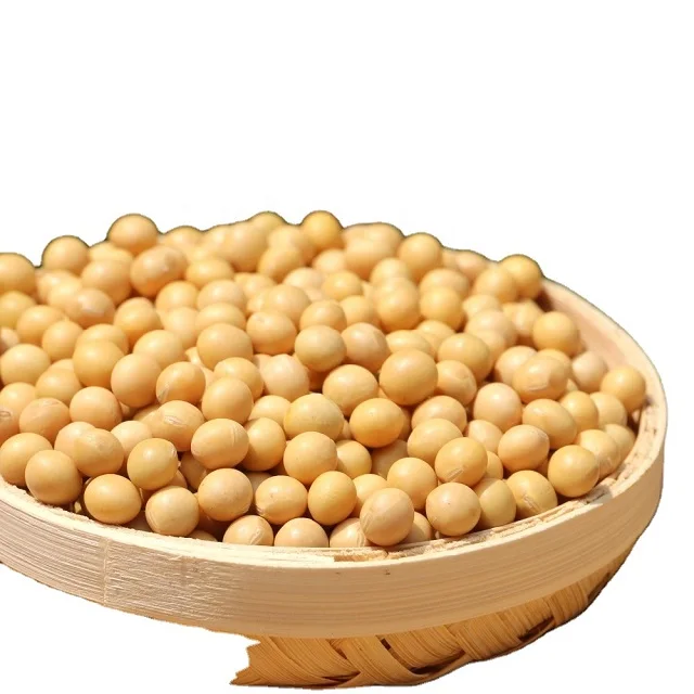 Дешевые продажи Non Gmo соевых бобов оптом/оптовая продажа нового урожая для оптовых поставок