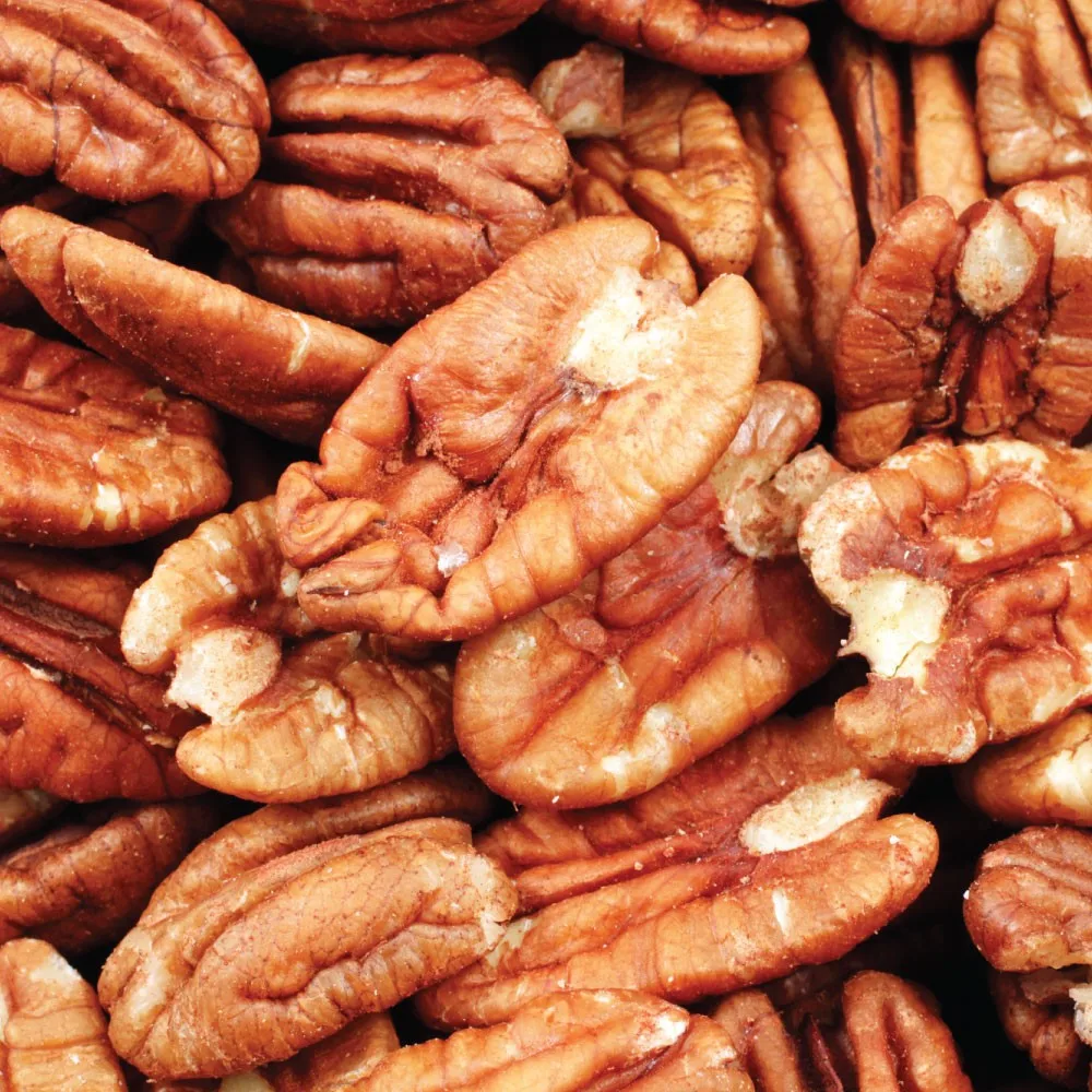 Supplier Low Price Wholesale Healthy Snacks Organic Pecan Nuts Delicious Cream