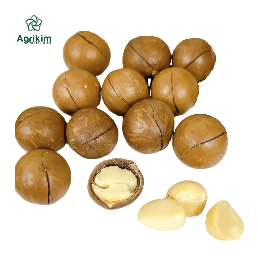 [Горячая распродажа] сырые орехи макадамия вкусный вкус оптовая цена органические макадамия-бесплатные образцы + 84 359313086