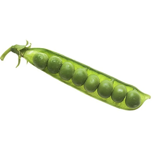 Wholesales Green Fresh Peas For Sales Premium Quality Food Grade Dried Green Peas With More competitive Price