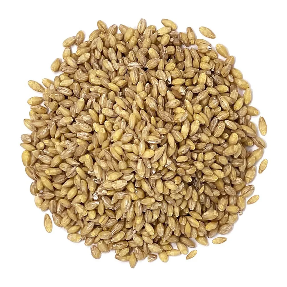 Высококачественные зерна ячменя для использования в качестве корма для животных и в пищевой промышленности от производителя зерна бобов для продажи