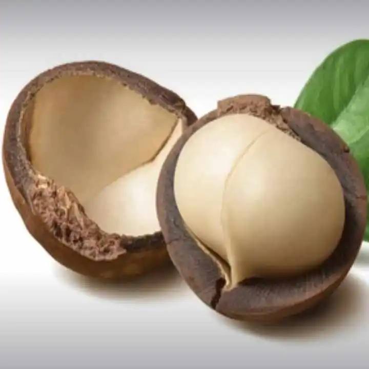 Natural Premium Quality Dried Roasted Macadamia nuts