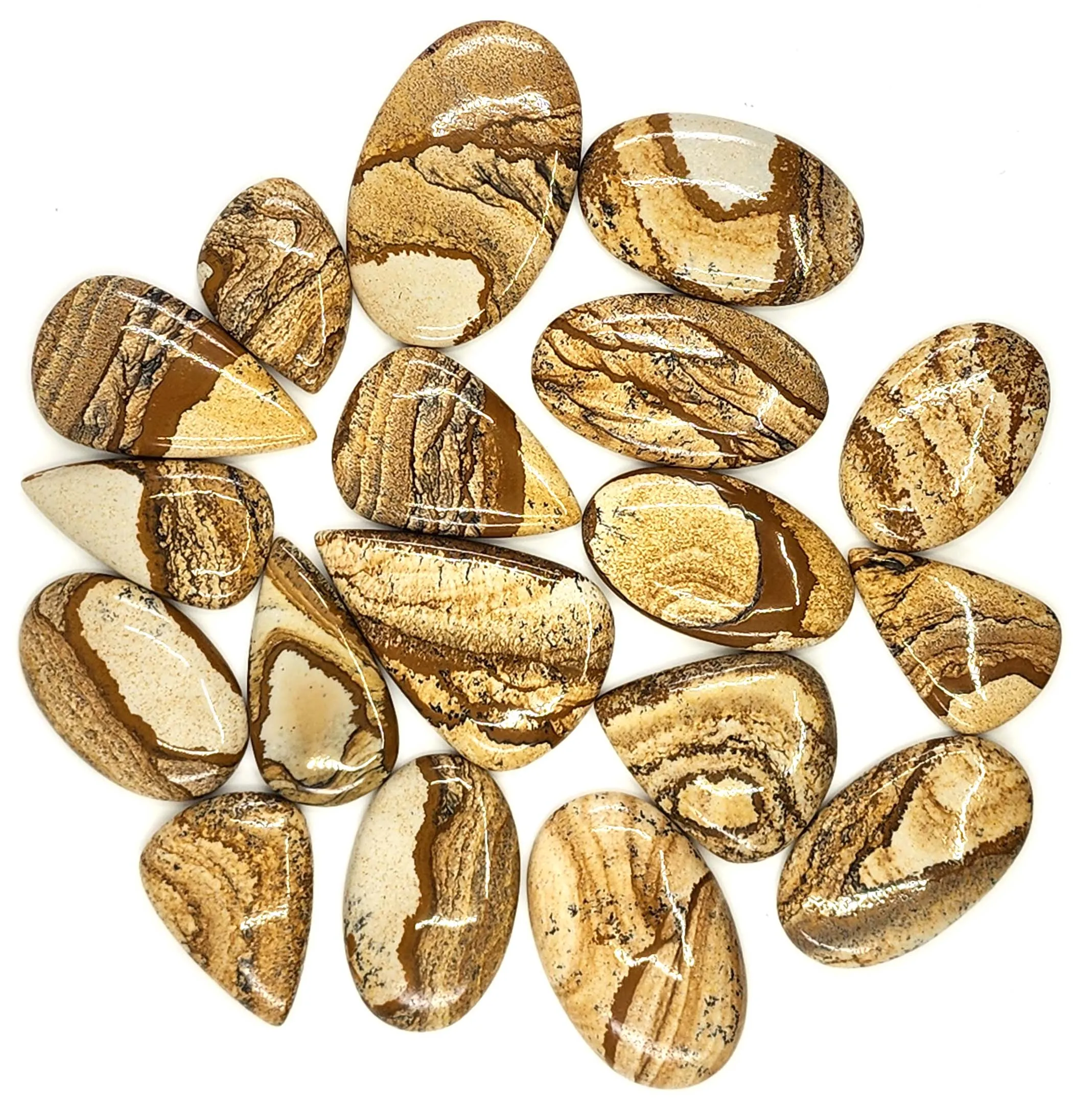 Picture Jasper Gemstone Cabochon Wholesale Lot Mix Shape Picture Jasper Gemstone Cabochon Good Quality Picture Jasper Gemstone