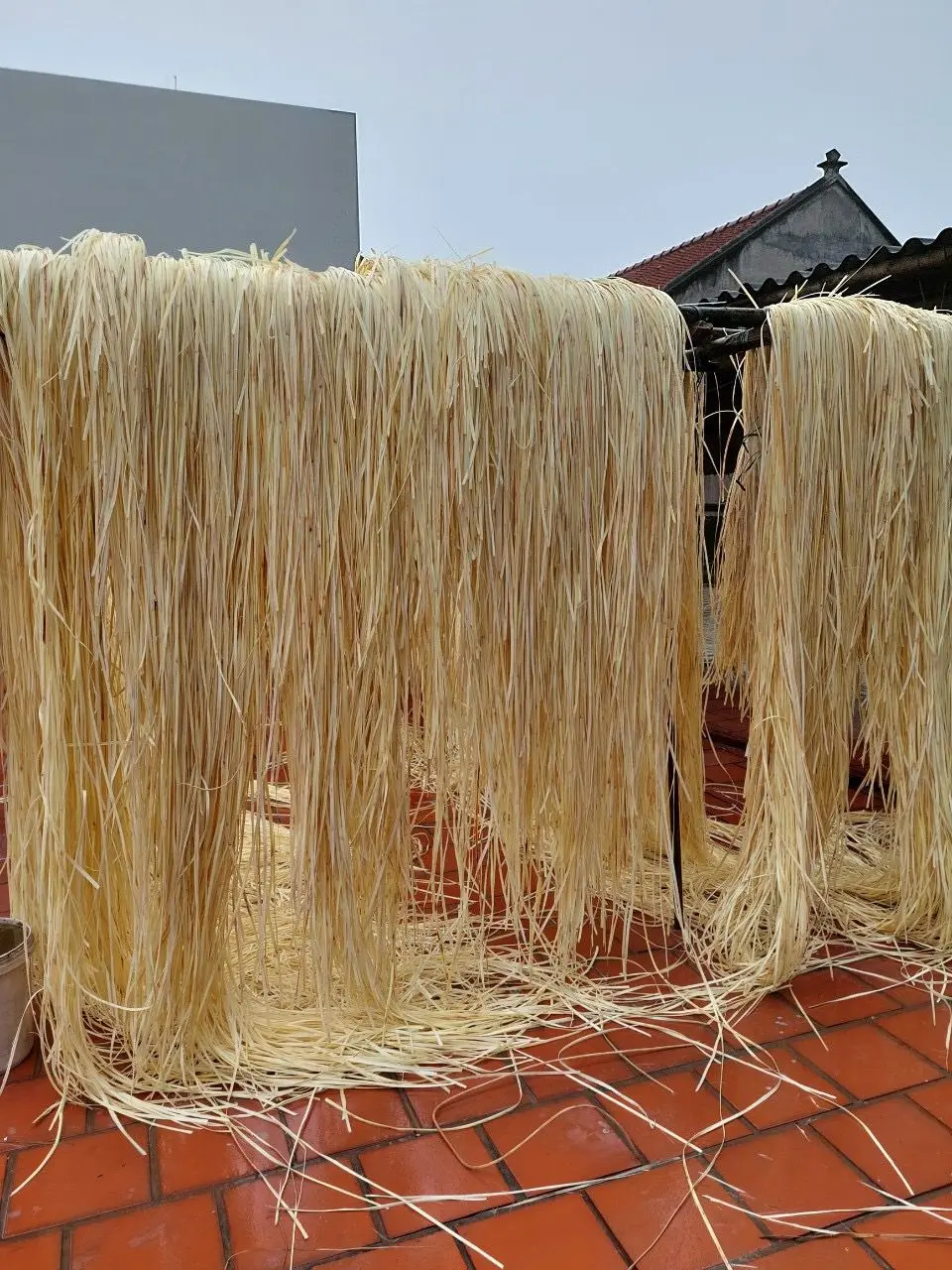 Polished Size Pole Competitive Price Durable rattan cane raw material Natural Rattan Core from Vietnam +84947900124