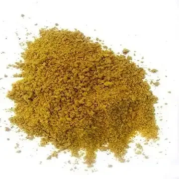 High Grade Good Quality Soy Beans Raw Soybean Grain In Bags Organic Bulk Soybean Seeds For Food