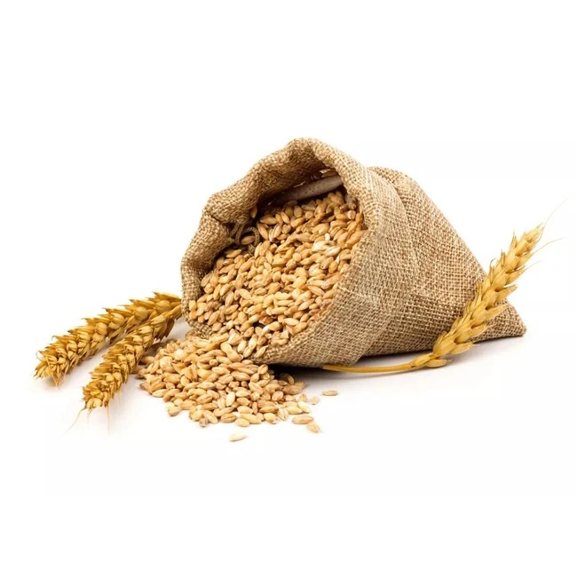 Wheat for Sale / Wheat Price Milling Wheat Sorted Quality
