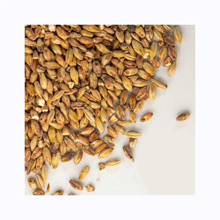 Barley for Malt, Barley Feed, Malted Barley Animal Feed Barley